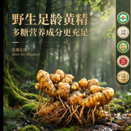菁选灵创 数字化创作引擎
